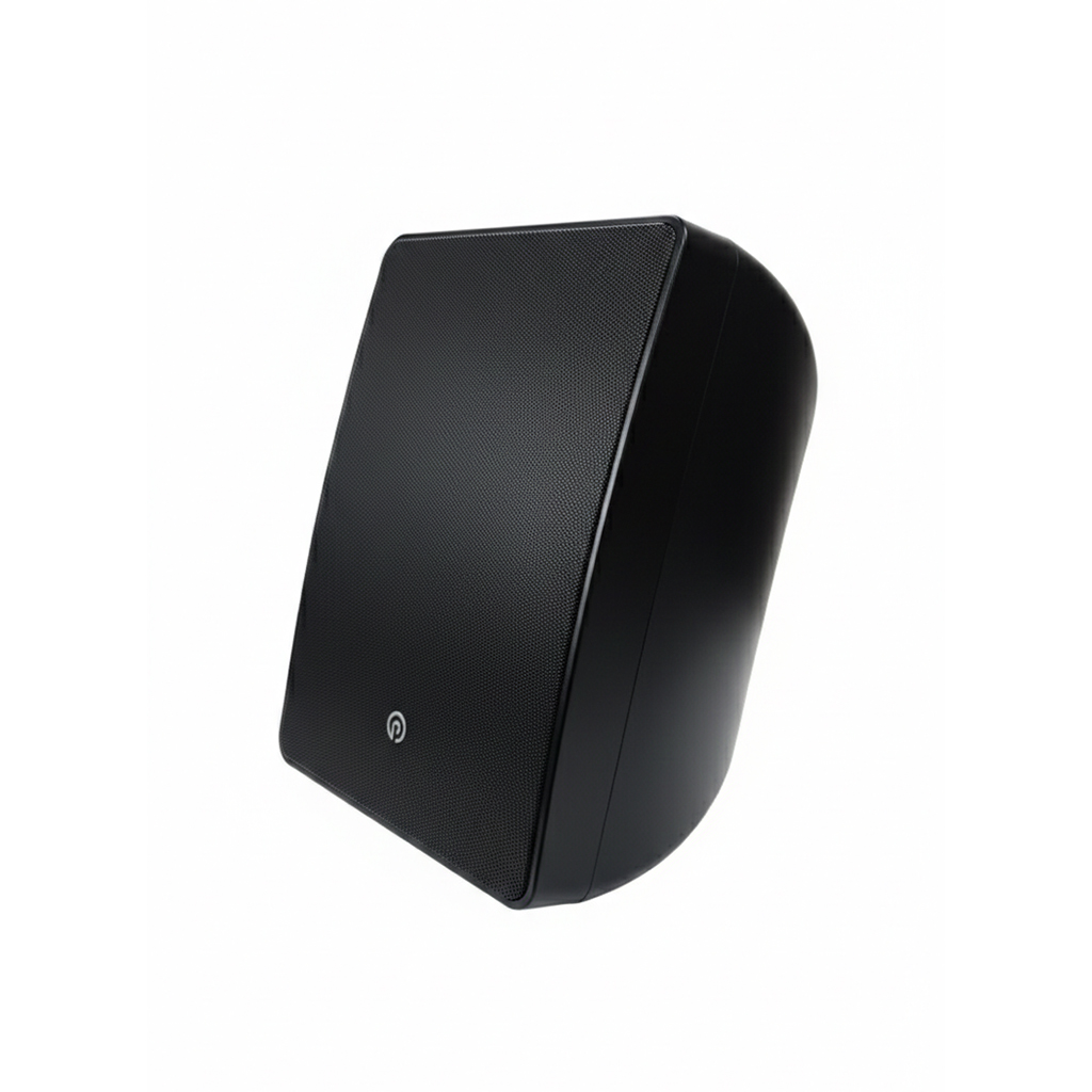 PURE ACOUSTISC BLYSS 81